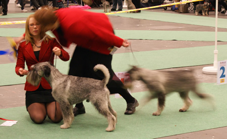Caroline and Utrillo winning